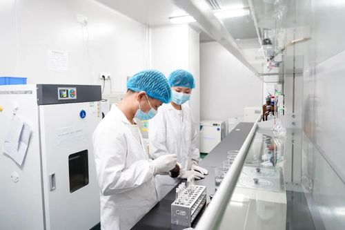 專注醫(yī)療科技前沿，廈門海滄這家企業(yè)如何深耕微創(chuàng)耗材與網(wǎng)絡信息技術(shù)研發(fā)
