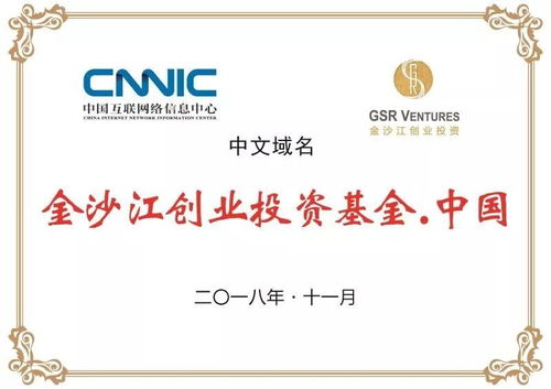 推動(dòng)中文域名注冊(cè)使用“烏鎮(zhèn)倡議” 互聯(lián)網(wǎng)語(yǔ)境下國(guó)家主權(quán)與技術(shù)自主的戰(zhàn)略考量