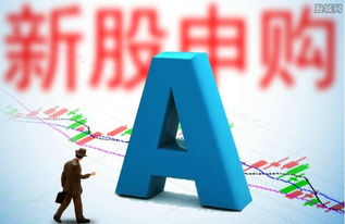 左江科技申購(gòu)啟動(dòng) 網(wǎng)絡(luò)信息技術(shù)新銳何時(shí)登陸資本市場(chǎng)